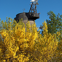 Mühle