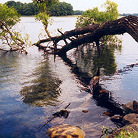 Natur2